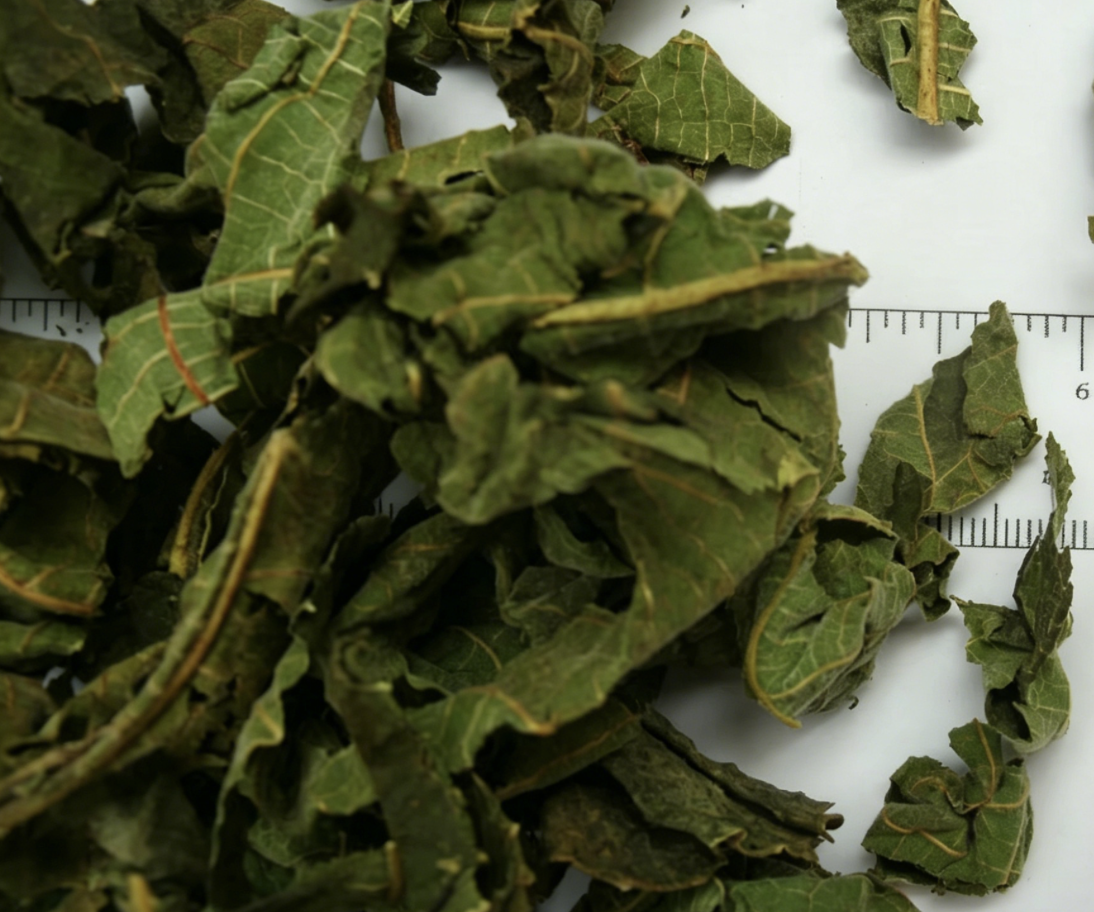 Wholesale Supply High Quality Dried Chinese Herbal Medicine Agricultural Chinese Herbal Fig Leaves