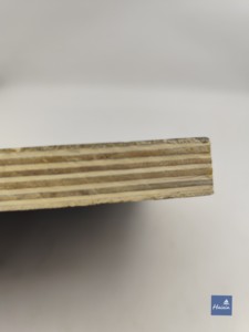 Doublure en contreplaqué pour moule de <span class=keywords><strong>pavé</strong></span> perméable en béton préfabriqué (Adoquines De Concreto) - Product Image 2