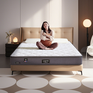 Giá Trị Chất Lượng Tự Nhiên Iimport Nệm Bộ Nhớ Bọt Bộ Đồ Giường Giường Nệm Hypo-Gây Dị Ứng Vua Kích Thước Vải Nệm Trong Phật Sơn - Product Image 1