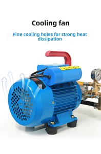 <span class=keywords><strong>Pulvérisateur</strong></span> électrique de jardin Zhonghan, pompe portable haute pression, moteur haute efficacité, garantie 1 an, 15 kg, agricole - Product Image 3