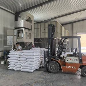 Graines de citrouille blanche fraîches biologiques en gros avec coquilles, taille 11 cm, provenant d'une usine chinoise - Aliments biologiques de haute qualité. - Product Image 6