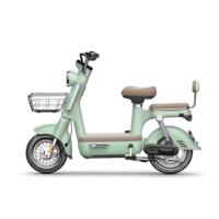 Motor Brushless Hub Belakang E-Bike Dewasa OEM/ODM 48V 350W, Rem Cakram Hidrolik LCD, Rangka Baja Karbon, Jarak Tempuh 60km, 3 Kecepatan, Untuk Penggunaan di Kota