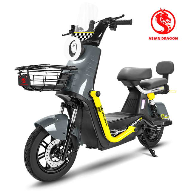 Powerful 1000W Electric Bicycle 2 Wheel Off-Road Electric Bike with Big Battery
