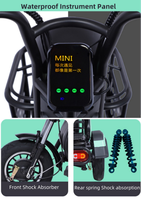 Scooter à 3 roues pour adultes, 1000W, 60V, puissant, petit tricycle électrique familial, pour personnes âgées, enfants, hommes, femmes, rouge, vert, 25 km/h