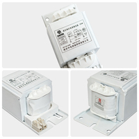 Ballast de lampe au sodium haute pression (HPS) Sanle 250W à fil de cuivre magnétique 220-240V 50Hz 3A avec garantie d'un an