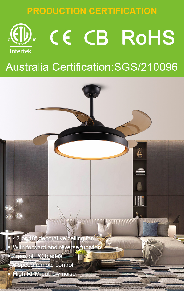 Decorative ceiling fan light