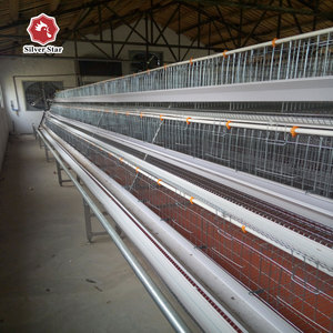 Gallinas ponedoras capa <span class=keywords><strong>de</strong></span> jaula <span class=keywords><strong>de</strong></span> pollo <span class=keywords><strong>de</strong></span> <span class=keywords><strong>granja</strong></span> - Product Image 5