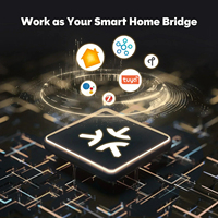 Passerelle Moes Tuya Zigbee Matter Thread pour Maison Intelligente avec Contrôle Vocal, Compatible HomeKit, SmartThings, Google Alexa, Alimentation Type-C