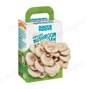 Eco Friendly Organic Oyster Mushroom Growing Kit Gift Boxes Biodegradable Corrugated Paper Packaging Box