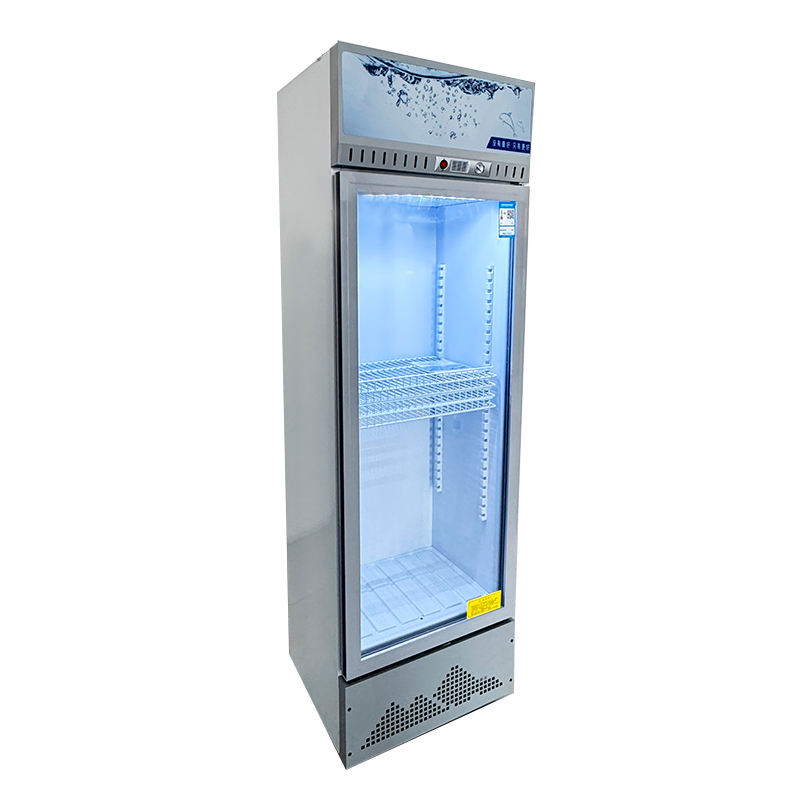 Best Selling 300L Fridge Freezer Reliable Solar Powered Deep Freezer