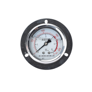 เกจวัดแรงดันแบบทนแรงกระแทกตามแนวแกนของ Longqi Automation รุ่น YN60ZT 1/4PT M14 สำหรับน้ำมันไฮดรอลิก น้ำ อากาศ และสุญญากาศ - Product Image 4