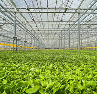 Serre agricole multi-travées de 8m de large | Membrane PE L'encapsulation complète permet l'accélération de la croissance des plantes