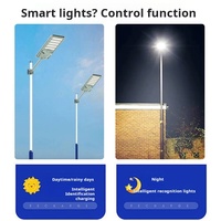 Lampadaires alimentés par l'énergie solaire fabricant prix aluminium étanche Ip65 100w 200w 300w 400w 500W zones rurales lampes solaires à LED