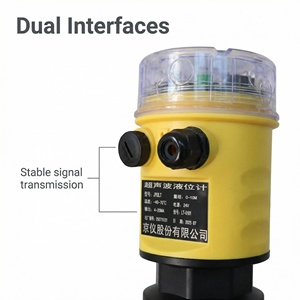 非接触超音波レベルトランスミッター＆メーター 24V DC 高精度工業用液体レベルセンサー 1年保証 - Product Image 3