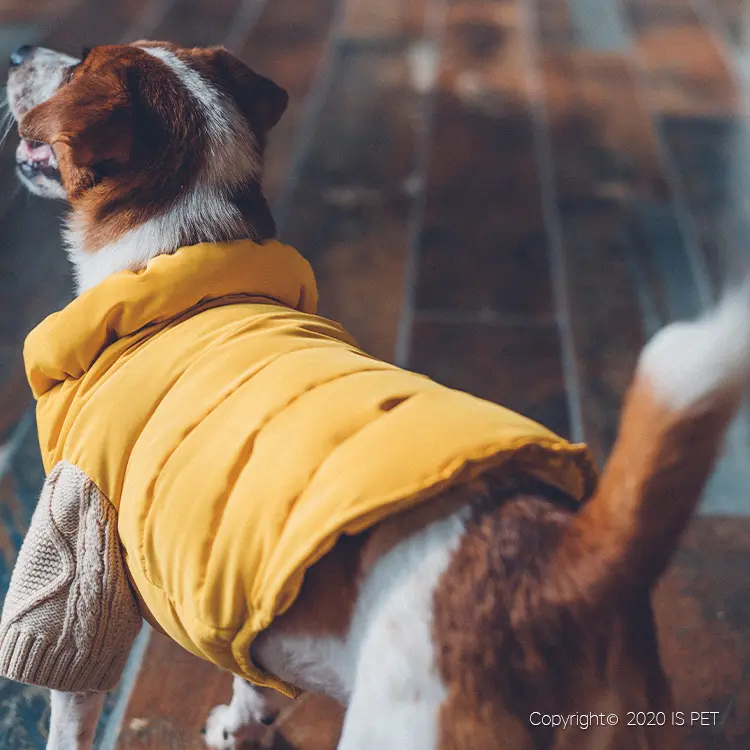 Abrigo de plumas de felpa para perros pequeños, chaqueta cálida de moda