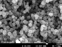 Nano titanato de bario BaTiO3 100nm 99.9% polvo de nano titanato de bario