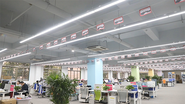 Company Overview - Royaumann Co., Ltd.