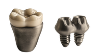 Service d'impression 3D sur mesure en métal SLM, pièces de cage d'implantation vertébrale en titane Gr5 avec sablage