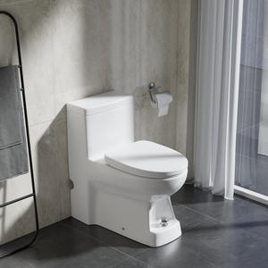 Inodoro de Cerámica de Una Pieza 622, Montado en el Suelo, Sifón en S, Descarga Rápida, Fácil de Limpiar, para Uso en Hoteles - Product Image 1