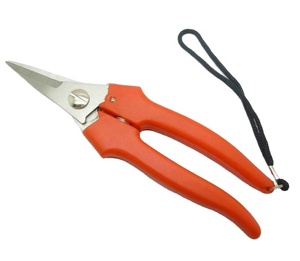 Chất Lượng Tốt Phổ Biến Nho Kéo Cho Hái Trái Cây Kéo Cắt Tỉa Cắt Kéo Vườn - Product Image 2