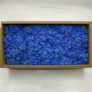 गर्म बिक्री रंगीन रेहिरण मॉस ने परिदृश्य दीवार फर्श डिकोड के लिए घास सफेद काले नीले स्थिर मॉस को संरक्षित किया - Product Image 5