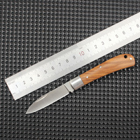 Fabrieksgroothandel 5cr13 staal fruitmes kamperen outdoor survival survival zakmes draagbaar opvouwbaar mes schaduw houten handvat