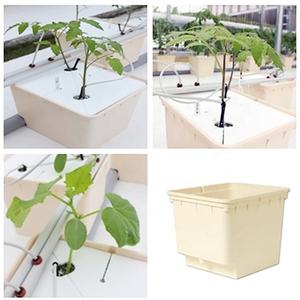 Bac hydroponique de plantation intérieure, r 2020, meilleur système néerlandais pour ketchettes - Product Image 4