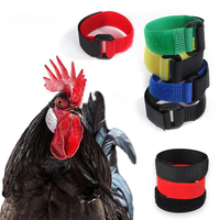 Collier réglable en nylon solide pour poulets, anti-coucou, avec boucle auto-adhésive pour volailles et petits animaux