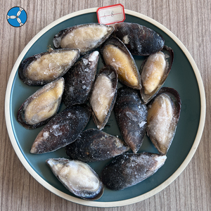 SANFENG SEAFOOD: Cozze Verdi Congelate con Mezza Conchiglia in Offerta a Prezzo All'Ingrosso - Product Image 5