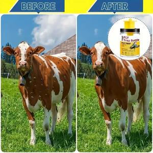 Reutilizable al aire libre de plástico ABS colgante fruta trampa para moscas <span class=keywords><strong>botella</strong></span> sólida trampa para moscas botellas - Product Image 3