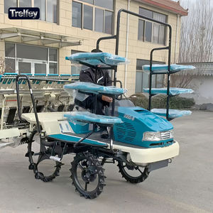 Transplanteuse de riz à 6 rangs à vendre, modèle autoporté grande capacité avec commande par joystick et pneus en caoutchouc massif - Product Image 1