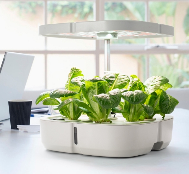 New Trending Smart Mini Kitchen Garden Indoor Hydroponic Growing System Oem 12 Pods Hydroponic Planter With Led