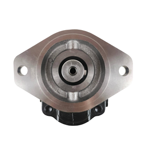 Bomba de Engranajes Hidráulicos de Rendimiento Mejorado - Product Image 2