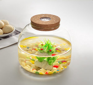 <span class=keywords><strong>Vase</strong></span> en verre DIY pour terrarium de mousse avec lumière LED et bouchon, décoration d'intérieur, pot de fleurs pour mariages et table - Product Image 3
