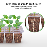 Graines de semis Macetas Plant Seed Jardin Grows Box 12 Cellules Pépinière Jardin Plateau Trou Pots de fleurs en plastique