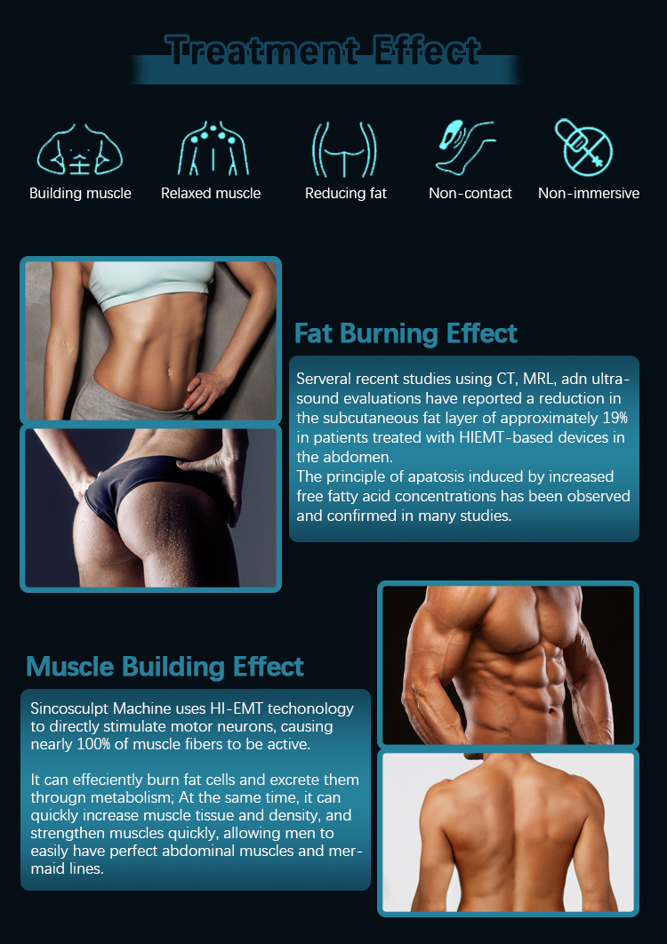 EMS Beauty Machine Stimulate Muscle Training Fat Loss Beauty Equipment