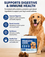 Friandises probiotiques naturelles pour chiens et chats : soutien quotidien de la santé intestinale, de la fonction immunitaire, de la digestion et du bien-être général
