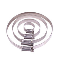 316 SS 1/2 pouces couple constant Super joint colliers de serrage avec W pince Sure Worm Gear réglable T pince système de mesure métrique