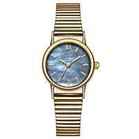 Reloj de Cuarzo Ovalado con Correa de Acero para Mujer, Elegante, Refinado, de Primera Calidad, con Puntero, Resistente al Agua 30M, Cristal Mineral, Versátil para el Tiempo Libre