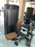 Nouvelle conception de machine à curls pour biceps à charge par poulie, équipement de fitness commercial pour la musculation des bras et du haut du corps en salle de sport