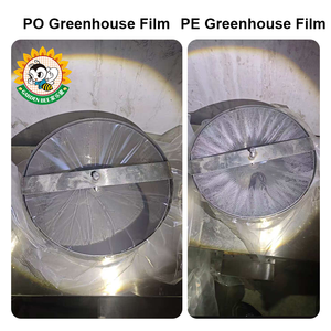 ฟิล์มพลาสติกสำหรับโรงเรือนปลูกพืชแบบอุโมงค์ ยี่ห้อ Garden Bee รุ่น Innovative Tunnel ป้องกันฝ้าและกระจายแสง - Product Image 6