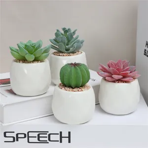 Set of 4 Artificial Succulents Indoor House Plants in Round White Geometric Ceramic Pots