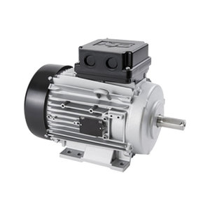 Motor de inducción Atb de 130 mm trifásico totalmente encapsulado con montaje en pedestal - Product Image 4