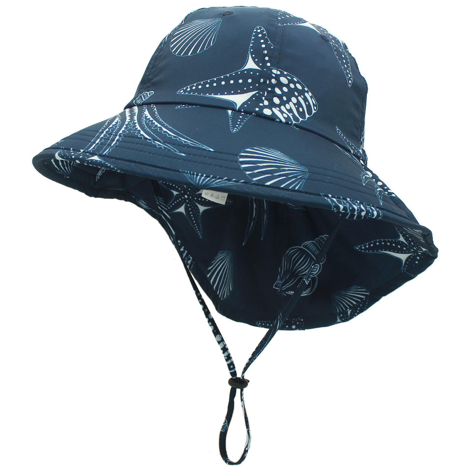 หอยสังข์สีกรมท่า