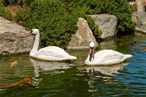 Xilei Wholesale Outdoor Swan Decor White Swan Decor cigni finti per tenere lontano le oche - Product Image 6