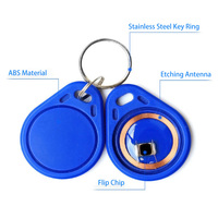 Regrabable grabable 125KHz 13,56 MHz impermeable Rfid etiquetas llavero T5577 EM4305 NFC Tag213 216 tarjeta NFC llavero ID Token Keyfobs