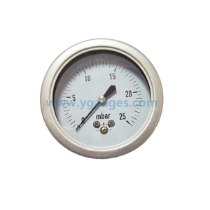 제조업체 직접 스테인리스 스틸 차압 게이지 판매 - Product Image 3