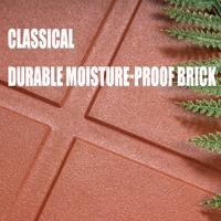 Brique rouge 300300 carrelage antidérapant, carrelage absorbant l'eau, toit, terrasse, carrelage gris résistant à l'humidité