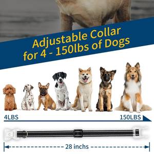 モダンなLED発光犬の首輪充電式リーシュソリッドプリントスナップオンUSB充電ポリエステルリボン装飾 - Product Image 5