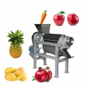 Zware Fruit & Groente Juicer Extractor Machine Verse Juicer Productielijn Verwerkingsapparatuur Voor Commerciële